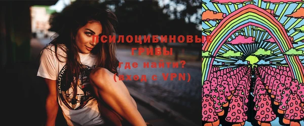 герыч Мегион
