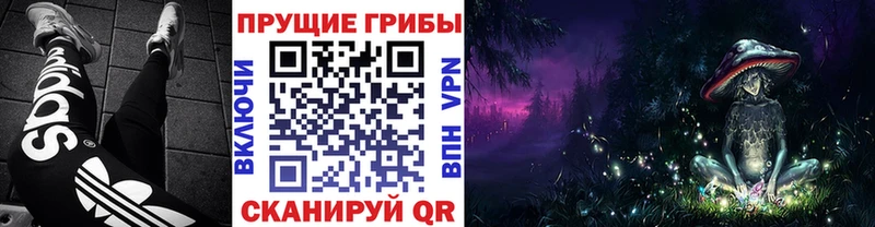 blacksprut онион  Нариманов  это Telegram  Галлюциногенные грибы Psilocybine cubensis 